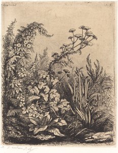 La petite berle aux liserons Pequena pastinaga com trepadeira, publicada em 1849. de Eugene Bléry
