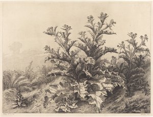 Cardo Grande de Eugene Bléry