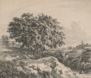 Floresta. de Eugene Bléry