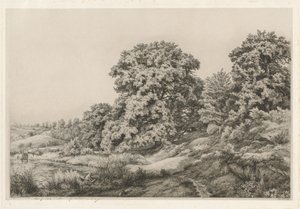 Oaks perto de uma lagoa, 1852.