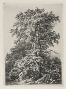 Estudos desenhados e gravados após a natureza: a praia, Fontainbleau de Eugene Bléry