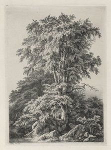 Estudos desenhados e gravados após a natureza: The Beach, Fontainbleau ..., 1840. de Eugene Bléry