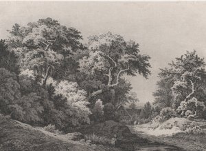 The Edge of the Woods, perto de Rambouillet, 1860. de Eugene Bléry