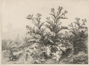 O Grande Cardo (Le Grand Chardon) de Eugene Bléry