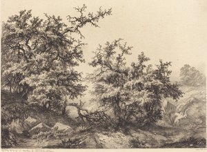Espinheiros, 1840.