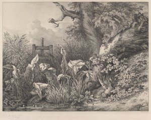 Water Dock e Brambles em uma eclusa, 1843. de Eugene Bléry