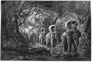 No caminho para a floresta, a expedição viaja na parte de trás de um elefante. Gravura de Eugene Burnand, para ilustrar a história "Viagem no Alto Laos", em 1880, pelo Dr. P.Neis. Publicado em Le Tour du monde, nouveau journal des voyages, 2º semestre 18 de Eugene Burnand