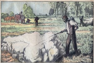 A destruição dos mulots (Apodemus) pelo gás asfixiante do Amanhecer - gravação por Damblans - le-pelerin de 1923 de Eugene Damblans