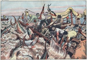 Pesca do atum na Tunísia - O atum é pescado na última rede conhecida como "corpo" é chocado com presas e batido no barco de pesca. Ilustração de Damblans. No "Le Pelerin" de 30 de agosto
