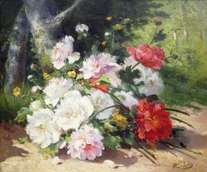 Ainda vida de flores