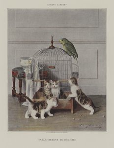 Invasão de casa de Eugene Lambert