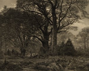 Floresta de Fontainbleau