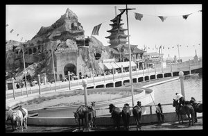 Vista de Coney Island, 1909 (nitrato negativo)