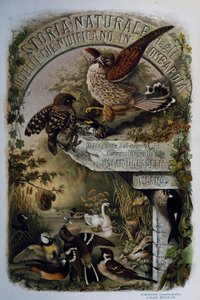 Página de título de História Natural das Aves que nidificam na Lombardia, de Eugenio Bettoni (1845-1898), gravura de Oscar Dressler, Itália