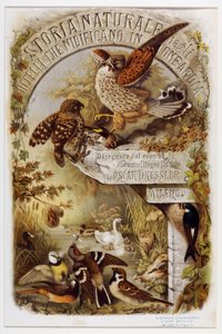 Frontispício da história natural das aves que nidificam na Lombardia (Cromolitografia)