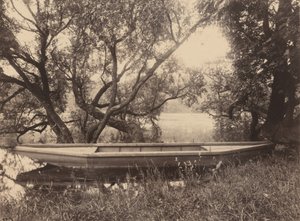 Lagoa de Corot, Ville-d