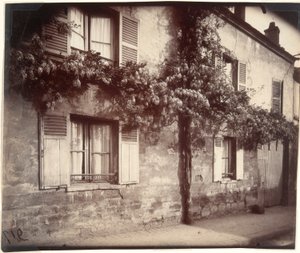 Glycine (Wisteria), Ch?tillon de Eugène Atget