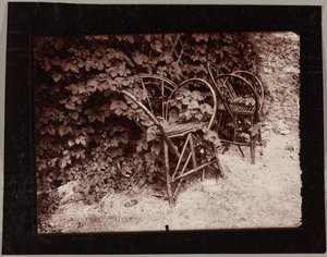 Lúpulo de Eugène Atget