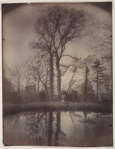 O Parque em Sceaux [abril de 1925, 7h] de Eugène Atget