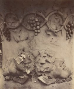 Floresta. de Eugène Atget
