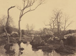 Bela Cruz, c. 1858.