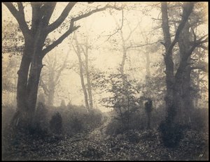 Fontainebleau. Floresta em Barbizon, ca 1860.