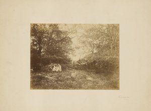 [Estudo paisagístico]. de Eugène Cuvelier