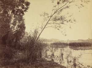 Marais de Fampoux, início da década de 1860.