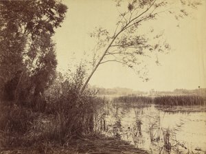 Marais de Fampoux, início dos anos 1860 (foto) de Eugène Cuvelier