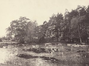 Marsh em Piat Belle-Croix Plateau, c. 1863. de Eugène Cuvelier
