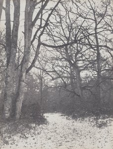 estrada na floresta de Eugène Cuvelier