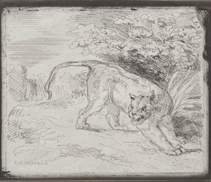 Um tigre preso de Eugène Delacroix