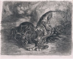 Cavalo selvagem abatido por um tigre de Ferdinand Victor Eugene Delacroix