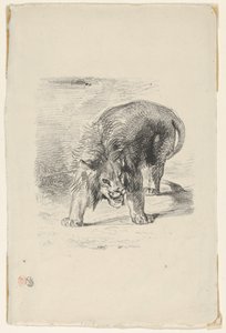 Leão em pé, 1833., 1833. de Eugène Delacroix