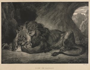 Leão das montanhas do Atlas de Eugène Delacroix