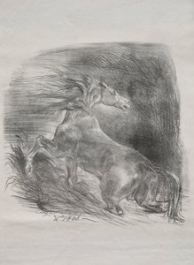 O cavalo selvagem, ou cavalo assustado saindo da água de Eugène Delacroix