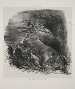 O cavalo selvagem, ou cavalo assustado saindo da água de Eugène Delacroix