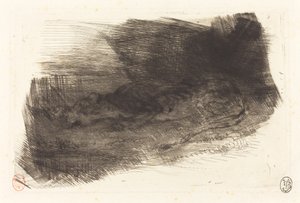 Tigre dormindo na entrada de seu covil Tigre dormindo na entrada de seu covil, c. 18281833. de Eugène Delacroix