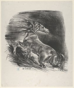 Cavalo Selvagem, 1828., 1828. de Eugène Delacroix