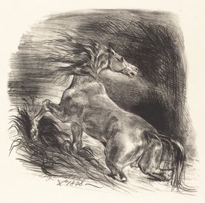 Cavalo selvagem saindo da água Cheval sauvage, 1828. de Eugène Delacroix