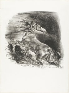 Cavalo selvagem, ou cavalo assustado saindo da água de Eugène Delacroix