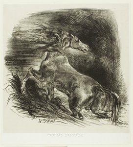 Cavalo selvagem ou cavalo assustado saindo da água de Eugène Delacroix