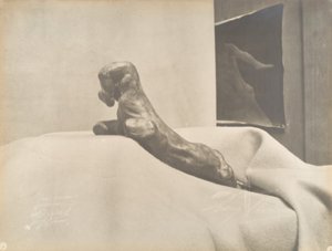 Floresta. de Eugène Druet