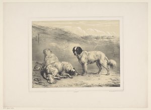 secar honden Vários tamme dieren (título da série) Treze temas de animais domésticos e nativos (título da série)