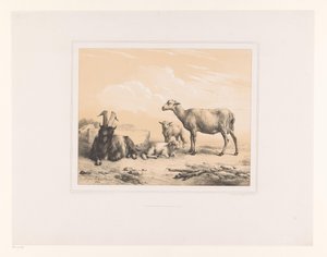 Caprinos, ovelhas e dois cordeiros
Vários animais (título da série)
Études d