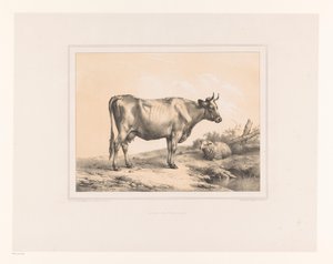 Vaca e ovelha numa paisagem
Vários animais (título da série)
Études d