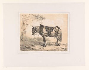 Cavalo com sela e cabresto
Vários animais (título da série)
Études d