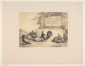 Impressão do título com galinhas, coelhos e um pombo
Vários animais (título da série)
Études d
