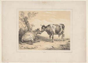 Twee koeien Vários tamme dieren (título da série) Treze temas de animais domésticos e nativos (título da série)