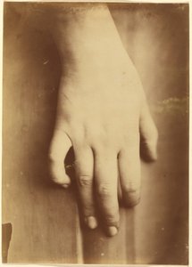 Estudo de uma mão de European 19th Century